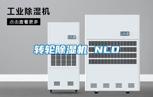 轉輪91看片软件大全 NLD