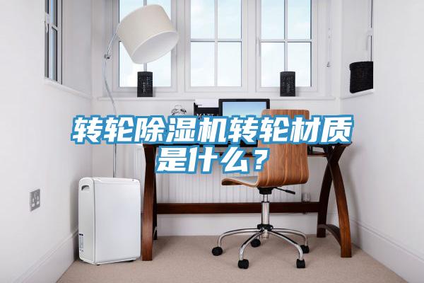 轉輪91看片软件大全轉輪材質是什麽？