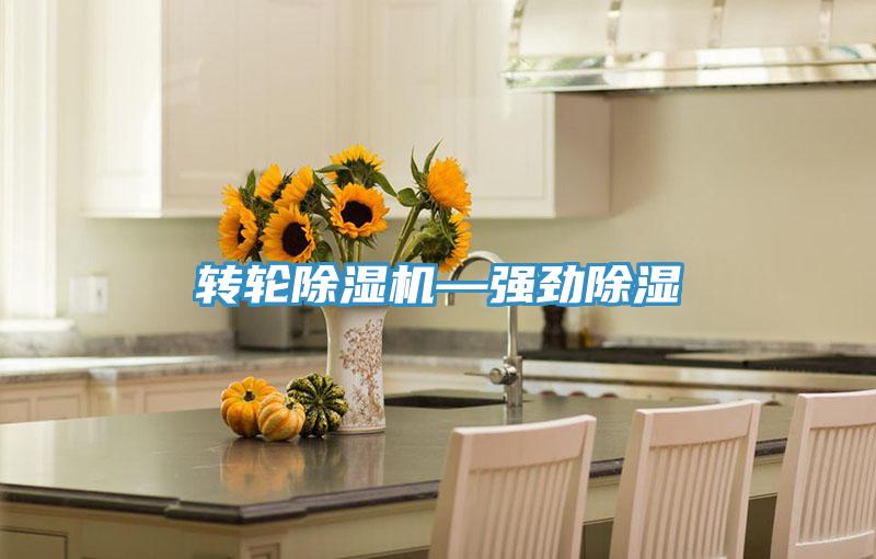 轉輪91看片软件大全—強勁除濕
