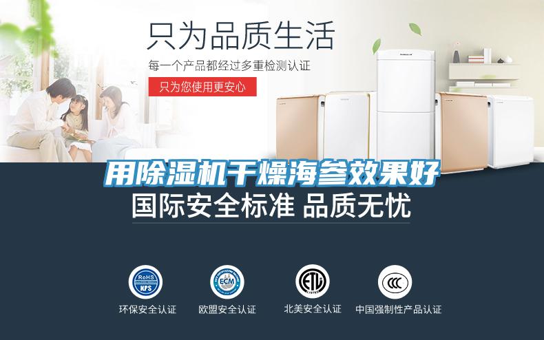 用91看片软件大全幹燥海參效果好