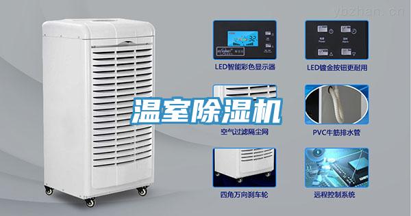 溫室91看片软件大全