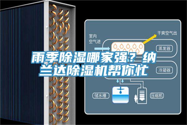 雨季除濕哪家強？納蘭達91看片软件大全幫你忙