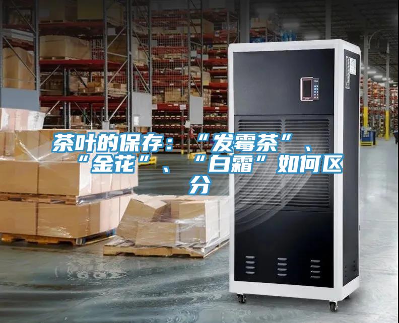 茶葉的保存：“發黴茶”、“金花”、“白霜”如何區分