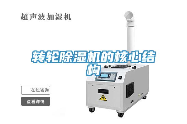 轉輪91看片软件大全的核心結構