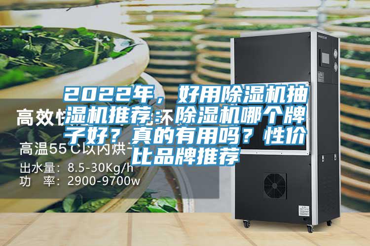 2022年，好用91看片软件大全抽濕機推薦：91看片软件大全哪個牌子好？真的有用嗎？性價比品牌推薦