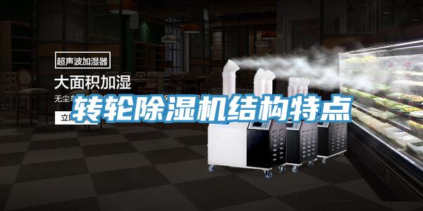 轉輪91看片软件大全結構特點
