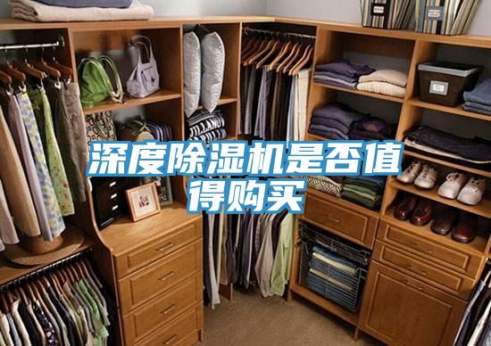 深度91看片软件大全是否值得購買