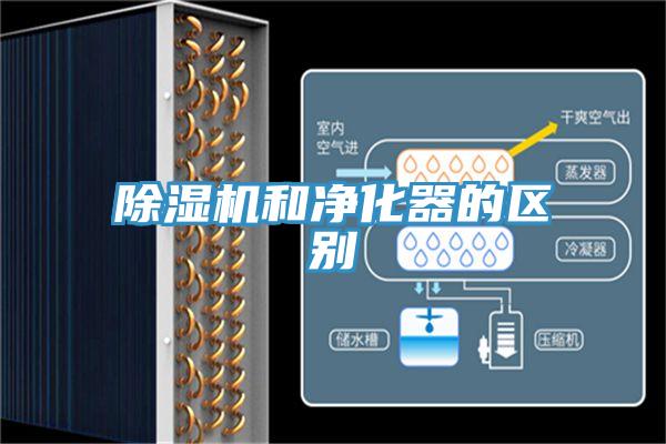 91看片软件大全和淨化器的區別