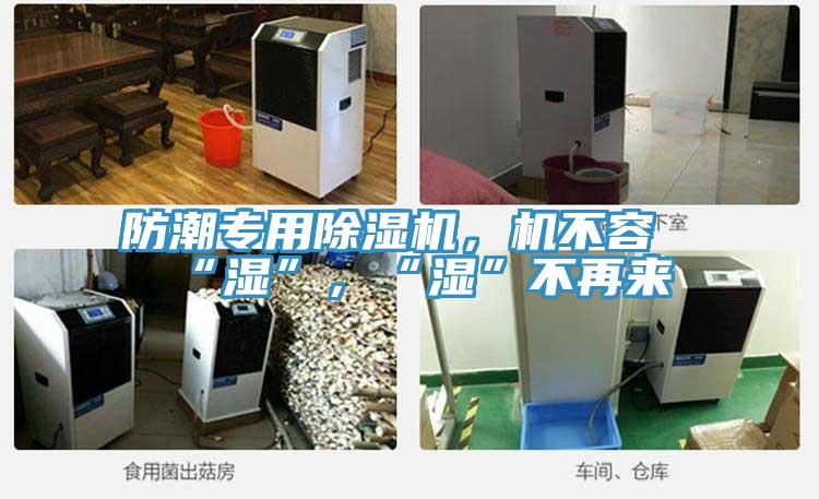 防潮專用91看片软件大全，機不容“濕”，“濕”不再來