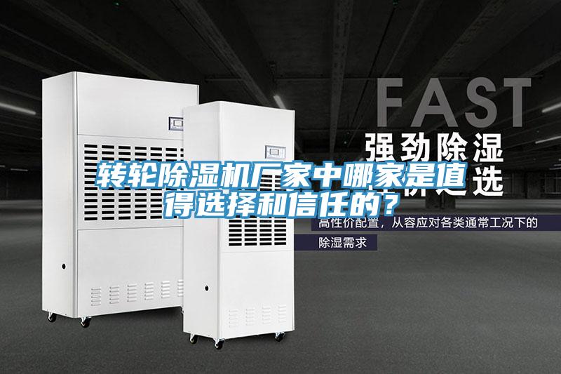 轉輪91看片软件大全廠家中哪家是值得選擇和信任的？