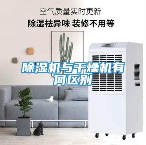 91看片软件大全與幹燥機有何區別
