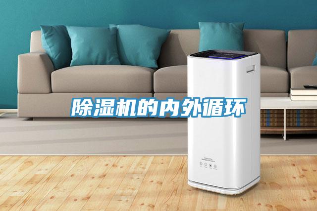 91看片软件大全的內外循環