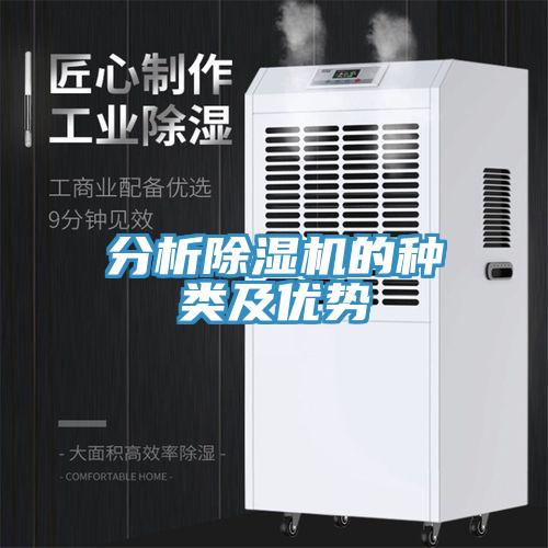 分析91看片软件大全的種類及優勢