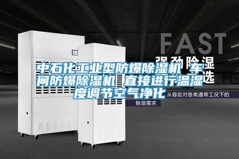 中石化工業型防爆91看片软件大全 車間防爆91看片软件大全 直接進行溫濕度調節空氣淨化