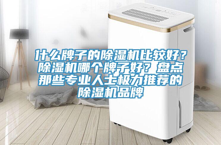 什麽牌子的91看片软件大全比較好？91看片软件大全哪個牌子好？盤點那些專業人士極力推薦的91看片软件大全品牌