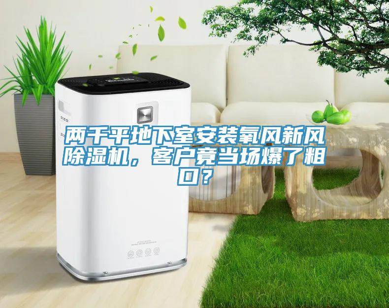 兩千平地下室安裝氧風新風91看片软件大全，客戶竟當場爆了粗口？