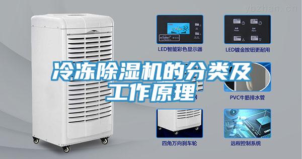 冷凍91看片软件大全的分類及工作原理