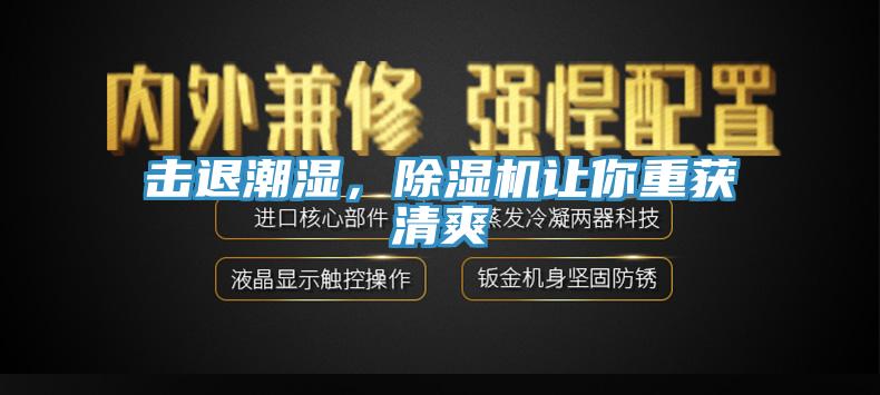 擊退潮濕，91看片软件大全讓你重獲清爽