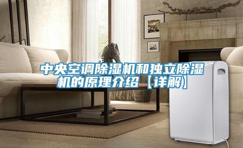 中央空調91看片软件大全和獨立91看片软件大全的原理介紹【詳解】