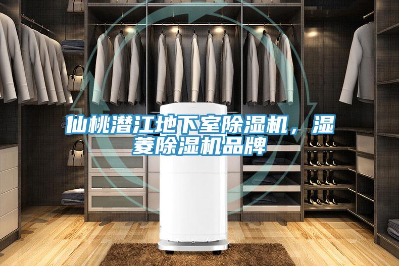 仙桃潛江地下室91看片软件大全，濕菱91看片软件大全品牌
