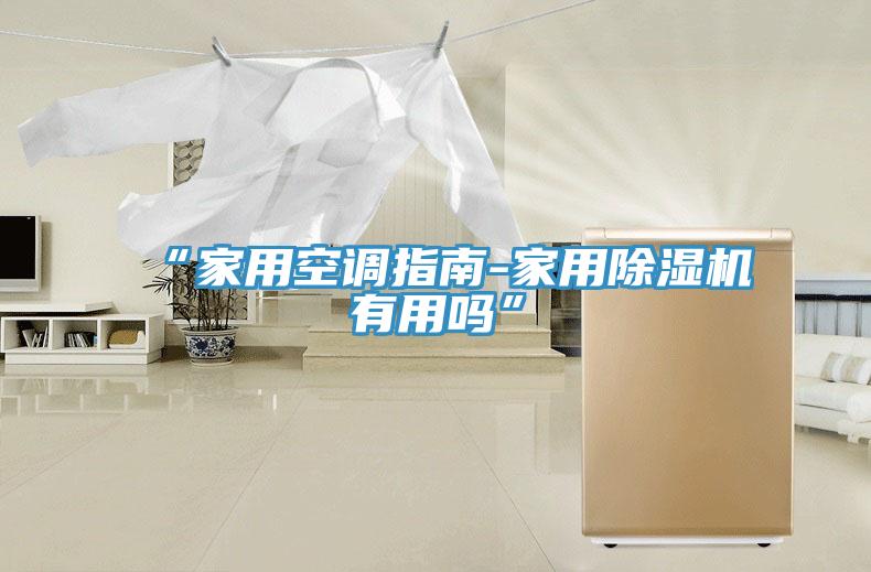 “家用空調指南-家用91看片软件大全有用嗎”