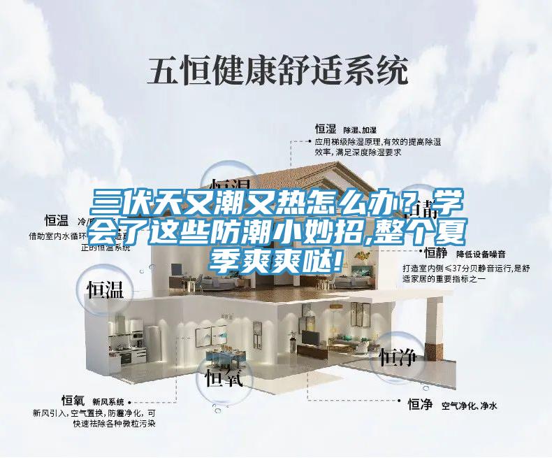 三伏天又潮又熱怎麽辦？學會了這些防潮小妙招,整個夏季爽爽噠!