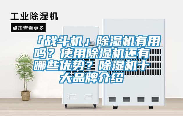 「戰鬥機」91看片软件大全有用嗎？使用91看片软件大全還有哪些優勢？91看片软件大全十大品牌介紹