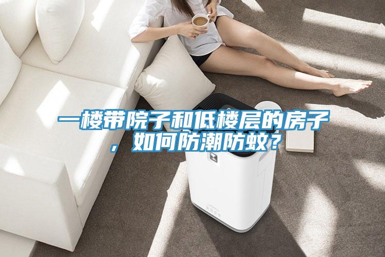一樓帶院子和低樓層的房子，如何防潮防蚊？
