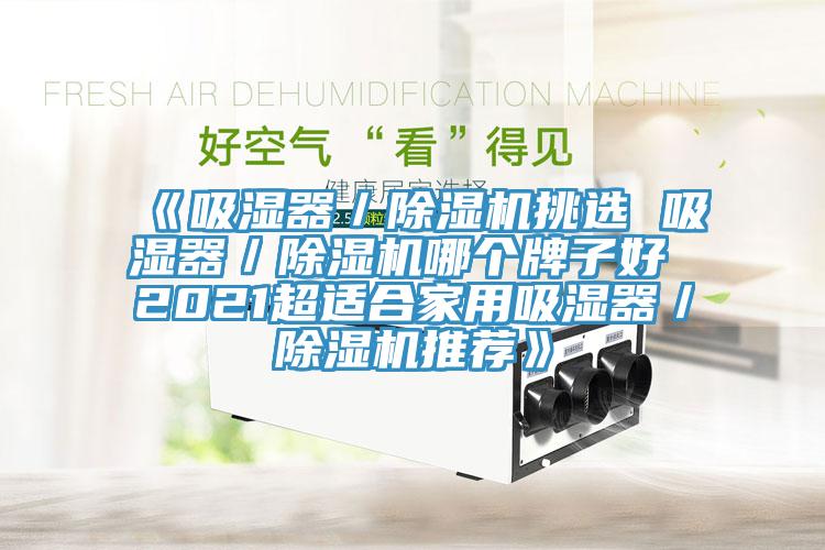 《吸濕器／91看片软件大全挑選 吸濕器／91看片软件大全哪個牌子好 2021超適合家用吸濕器／91看片软件大全推薦》