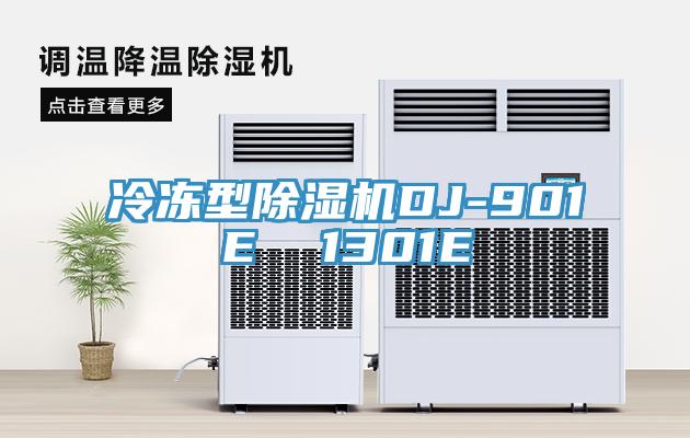 冷凍型91看片软件大全DJ-901E  1301E