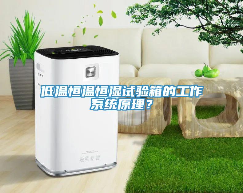 低溫恒溫恒濕試驗箱的工作係統原理？