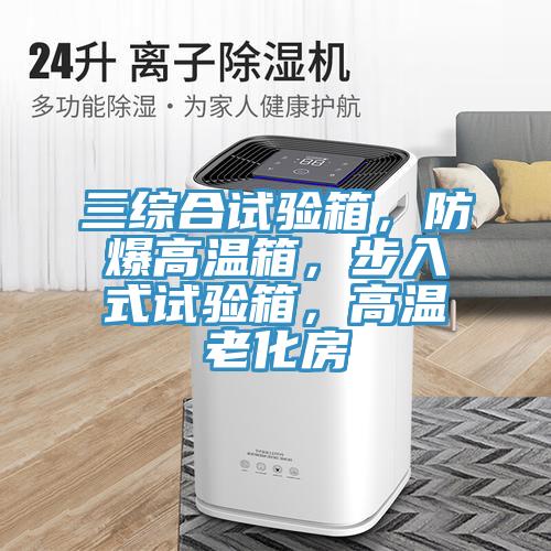 三綜合試驗箱，防爆高溫箱，步入式試驗箱，高溫老化房