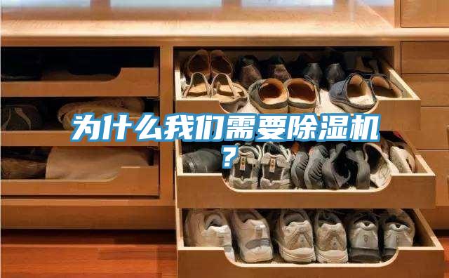 為什麽91AV手机看片需要91看片软件大全？