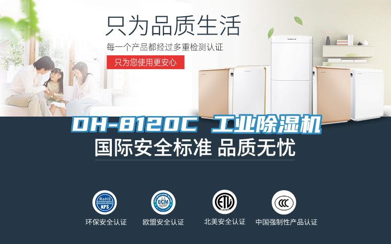DH-8120C 工業91看片软件大全