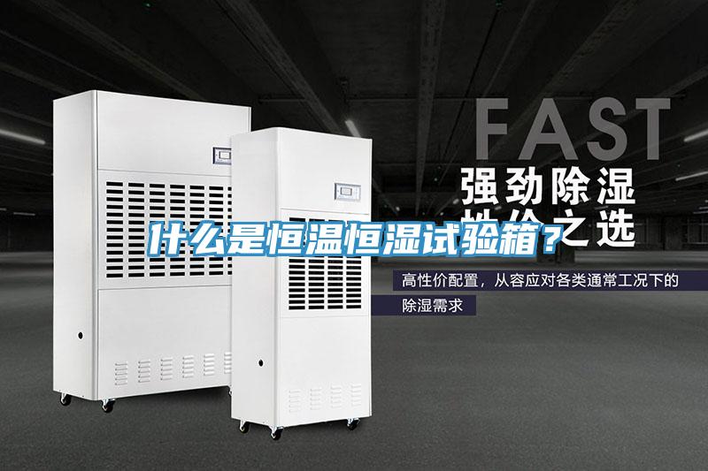 什麽是恒溫恒濕試驗箱？