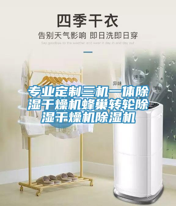 專業定製三機一體除濕幹燥機蜂巢轉輪除濕幹燥機91看片软件大全