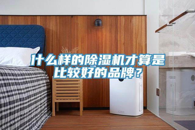 什麽樣的91看片软件大全才算是比較好的品牌？