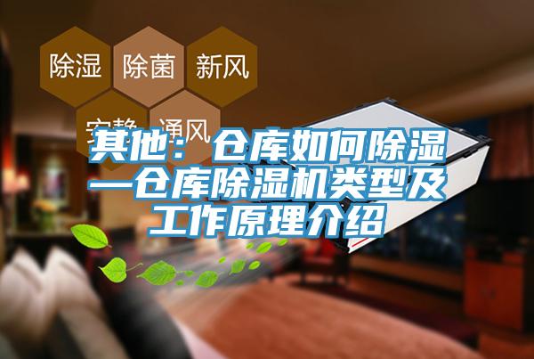 其他：倉庫如何除濕—倉庫91看片软件大全類型及工作原理介紹