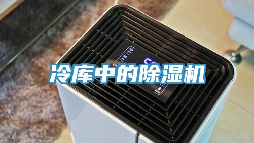 冷庫中的91看片软件大全