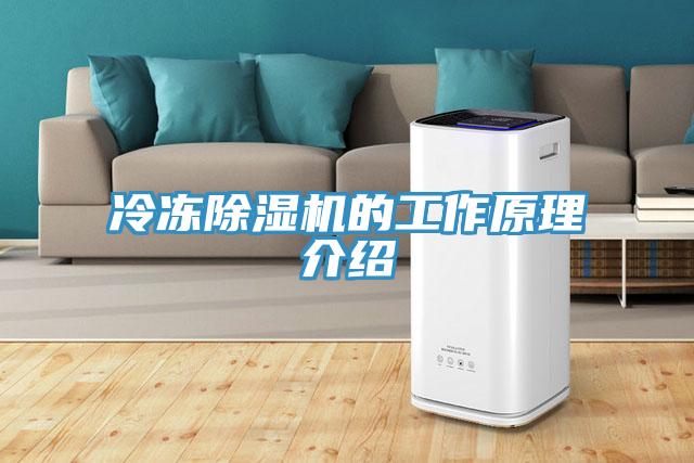 冷凍91看片软件大全的工作原理介紹