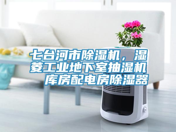 七台河市91看片软件大全，濕菱工業地下室抽濕機  庫房配電房除濕器