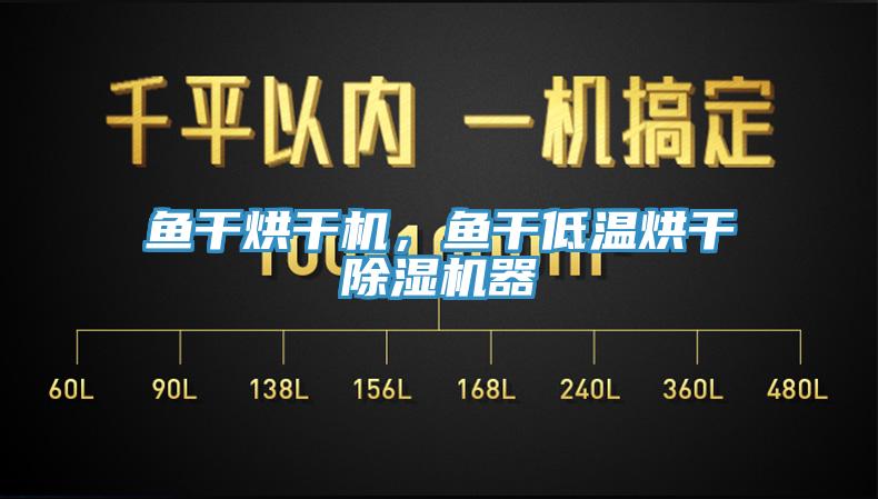 魚幹烘幹機，魚幹低溫烘幹91看片软件大全器