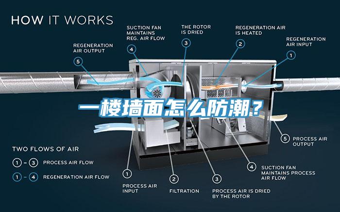 一樓牆麵怎麽防潮？