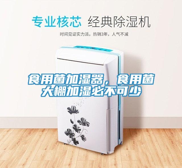 食用菌加濕器，食用菌大棚加濕必不可少