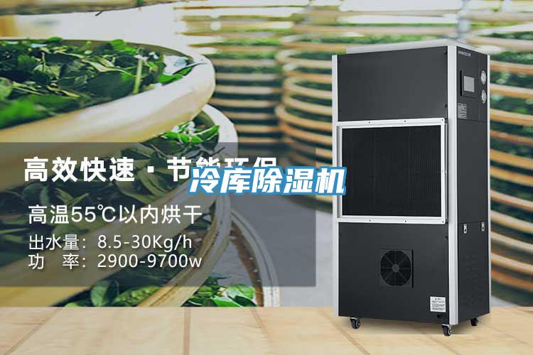 冷庫91看片软件大全
