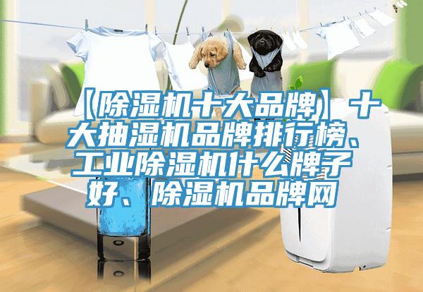 【91看片软件大全十大品牌】十大抽濕機品牌排行榜、工業91看片软件大全什麽牌子好、91看片软件大全品牌網