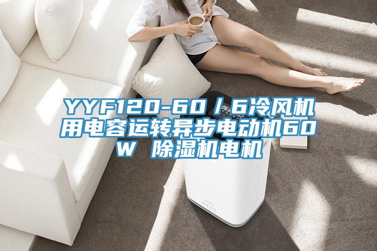 YYF120-60／6冷風機用電容運轉異步電動機60W 91看片软件大全電機