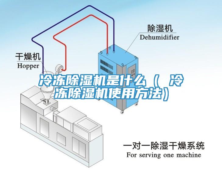 冷凍91看片软件大全是什麽（ 冷凍91看片软件大全使用方法）