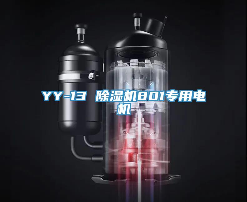 YY-13 91看片软件大全801專用電機