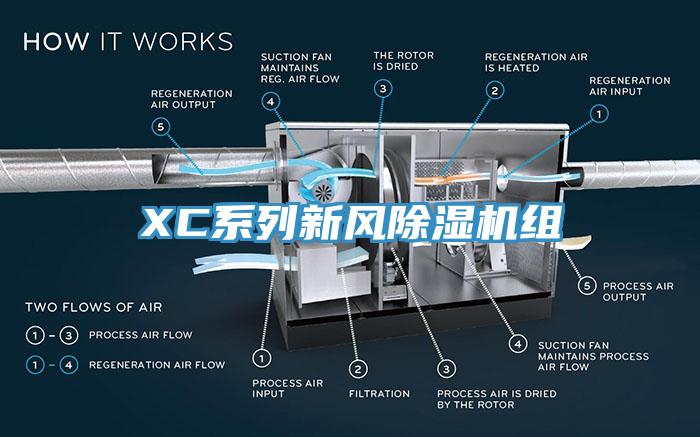 XC係列新風91看片软件大全組